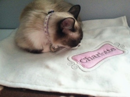 Hilsen fra Miami, Charlotte med sitt nye perlehalsbånd.